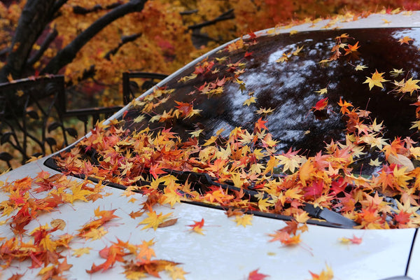 Autumn Car Care for Beginners - A Complete Car Detailing Guide