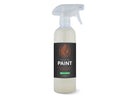 Paint EcoShine IGL