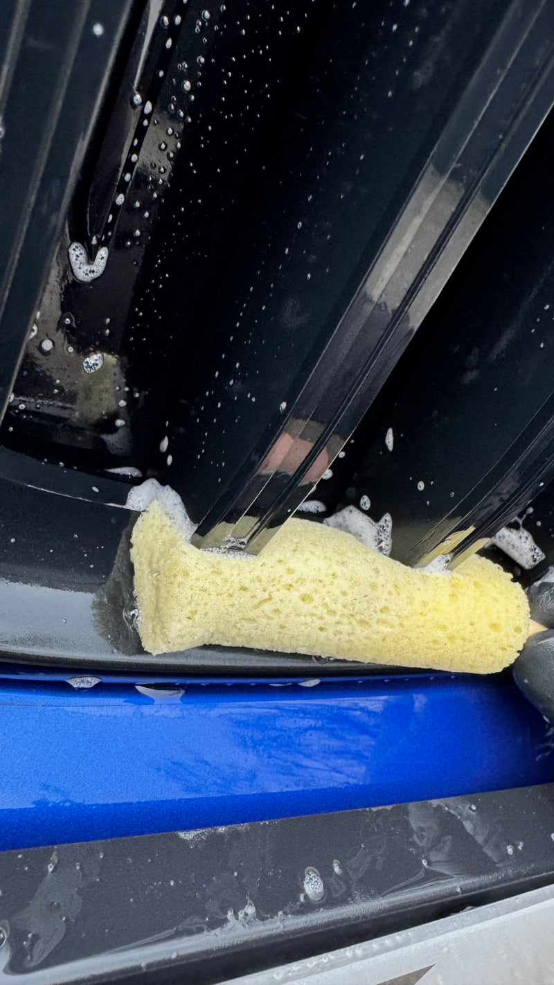 Sponge Guru Teardrop Grille Detailing Sponge