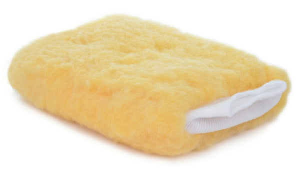 Wash Mitt Car Wash Style